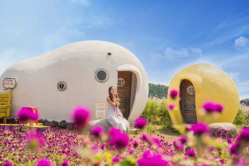 jeju-do woman sitting in front of white and brown rock house surrounded with purple flowers under blue sky figurine